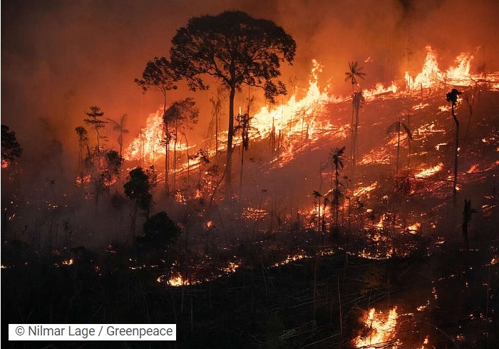 The Burning Amazon Rainforest