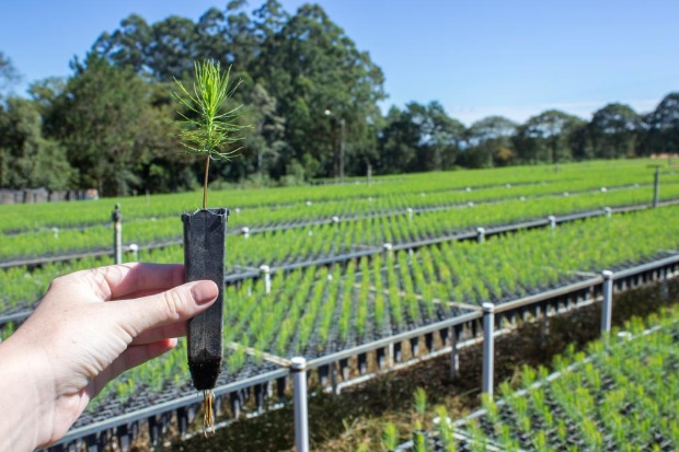Planting with purpose